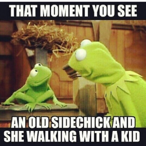 The 25 Funniest Kermit #thatsnoneofmybusinesstho Memes