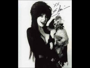 ELVIRA Mistress of the Dark Autographed Signed 8x10 Photo Authentic ...