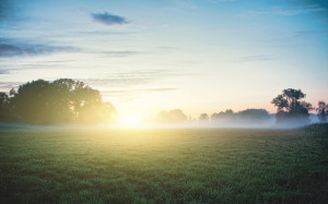 Morning Sunshine on Fog wallpaper