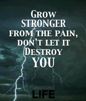 Tagged with: destroy • grow stronger • Pain