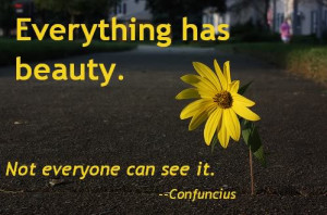 Everything has Beauty,Not Everyone Can See It ~ Beauty Quote