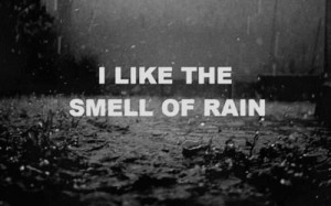 quotes, rain, smell