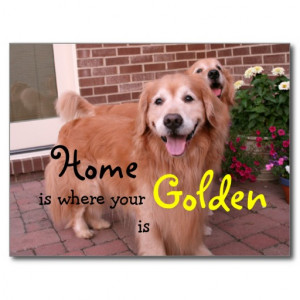 Golden Retriever Home Quote Post Cards
