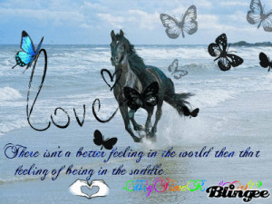 Horse Quote Picture #124029050 | Blingee.