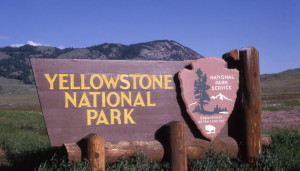 yellowstone-national-park.jpg