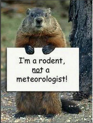 when a groundhog emerges from its burrow on this day, then spring ...