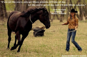 ... quotes heartland country girls favorite quotes horses quotes monty