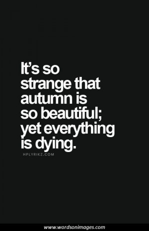 added by picture quotes posted under more quotes report image