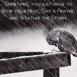 Found on Uploaded by user