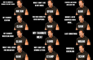 Wwe Funny Pictures Gallery