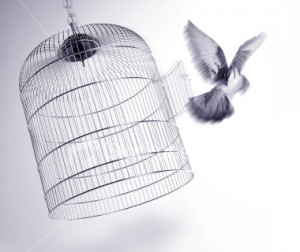 don t put a bird in a cage for it is meant to be free it is meant to ...