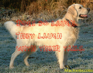 Inspirational Dog Quotes Golden Retrievers