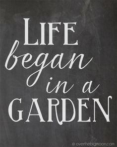 Life began in a garden. #Quotes #ProvenWinners #Gardening. Repinned by ...