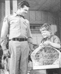 The Andy Griffith Show (Season 4 dvd set)