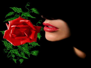 rose love rose love