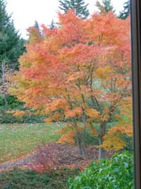 Comparisons are odious