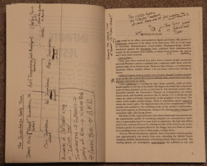 Infinite Jest Quotes