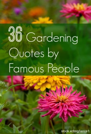 36 of the Best Gardening Quotes from Famous People