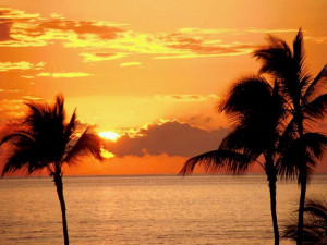 tramonto rosso giallo arancione sole palme palma mare oceano acqua ...
