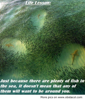 Just because there are plenty of fish in the sea, it doesn't mean that ...