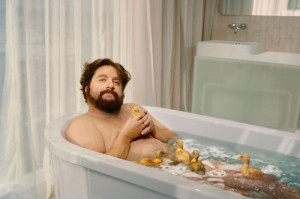 comedian, comedy, funny, lol, zach galifianakis