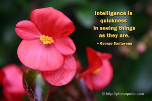 Intelligence Is Quickness