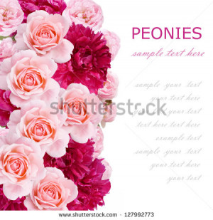 Roses and peonies background isolated on white with sample text ...