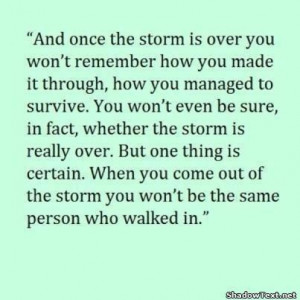 ... reflects how I feel about the journey through Chronic Lyme Disease