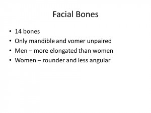 Facial Bones 14 bones Only mandible and vomer unpaired Men – more ...