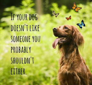 Dog-Spirational Quotes of the Week (5/26/14 – 5/30/14) | Golden ...