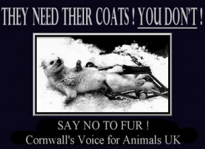 Practical Issues > Shopping Index > No Fur Index