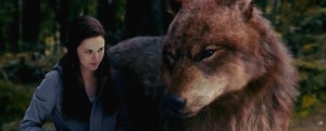 Jacob-Black-Eclipse-jacob-black-15302097-672-272.jpg