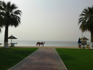 Rhyme to Success (Inspirational Poem)