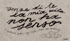 Learn to say 'I love you' in italian: in pictures