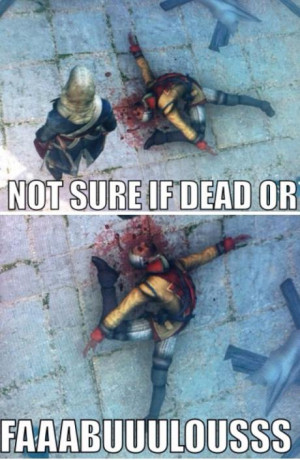funny-picture-assassin-creed-fabulous