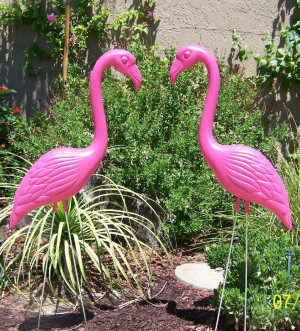 Pink Flamingo Logista Flickr
