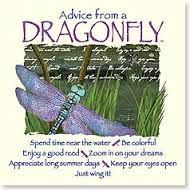 Dragonfly quote