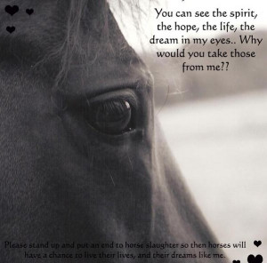 Against Horse Slaughter! Beautiful Horses.... SAVE THEM!!!