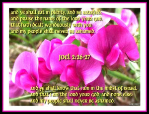 Tags bible verse scripture sweetpea flower plant garden bloom