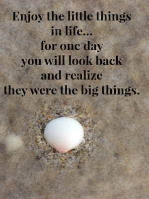 Pinnable Quote of the Day- Enjoy the Little Things
