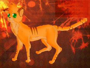 Funny Quotes Contact Us DMCA Notice