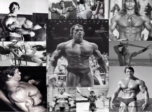 Arnold Schwarzenegger Arnold Schwarenegger Wallpaper