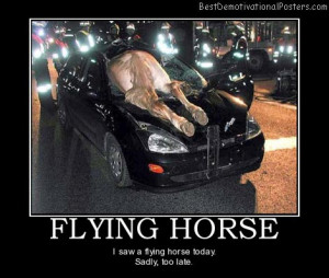 horse-flying-car-accident-traffic-best-demotivational-posters