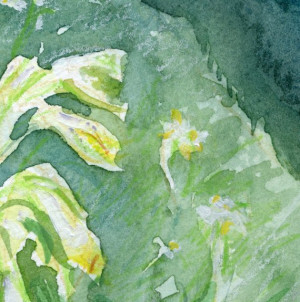 Cowslips in watercolour and mixed media (Primula veris) – in Long ...