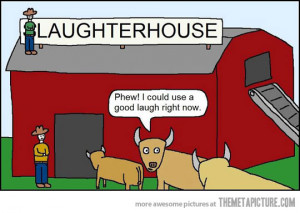 Funny photos funny cows slaughter house