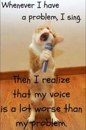 Cat singing...