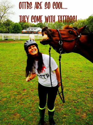 Her Love for Horses . . . Off The Track Thoroughbred OTTB qoutes from ...