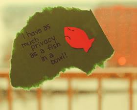 photo privacyquotes.jpg