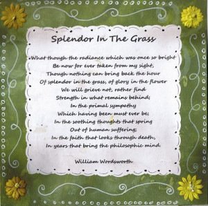 splendor in the grass poem william wordsworth quotes