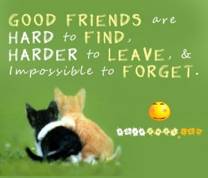 Best Friend Quotes and Sayings